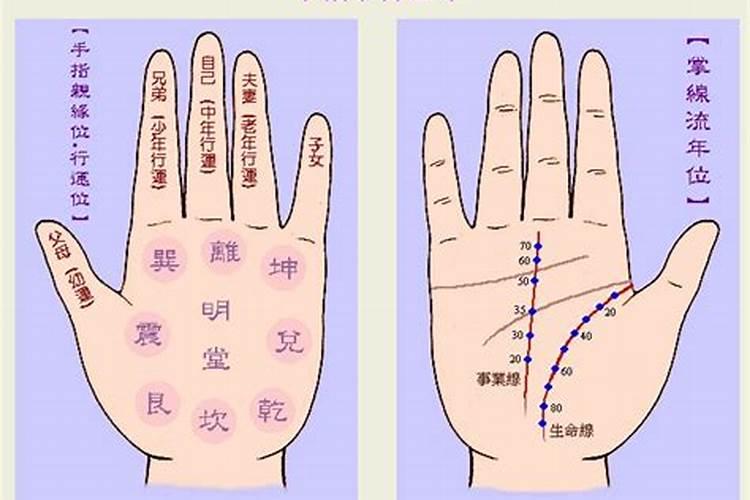 1980年犯太岁的生肖