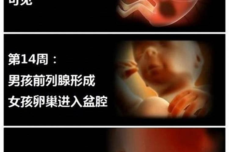 算命的说不能早婚领证了还没办婚礼算吗