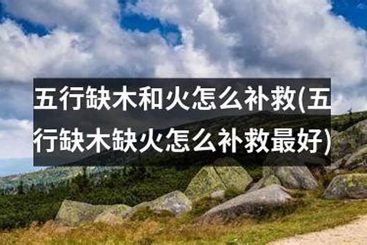 今日狗运势查询每日运程8月9日