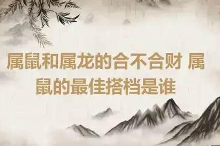 属龙和属鼠的人合不合财