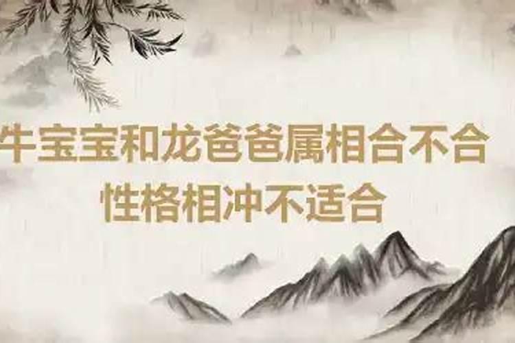 属龙生属牛的孩子好不好