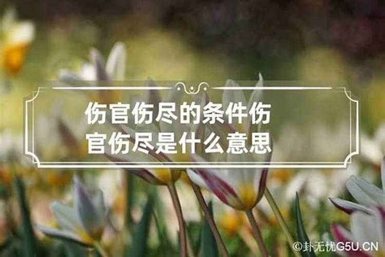 五行婚配对照表