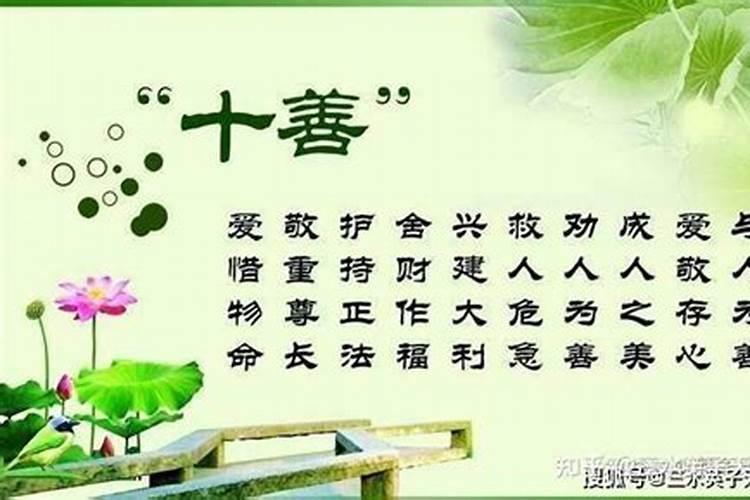 属鸡今年整体运势