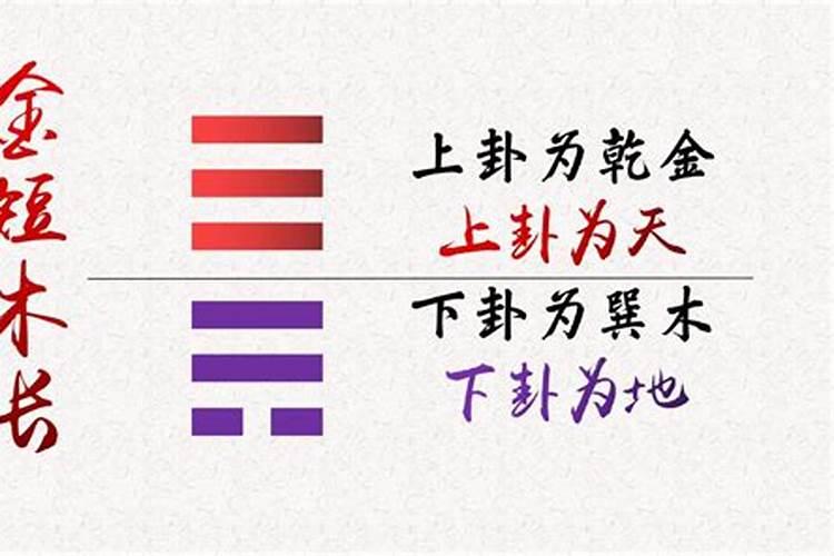 怎样看八字属什么五行的