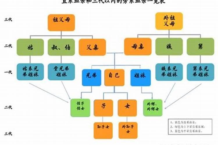 24岁的生肖属什么