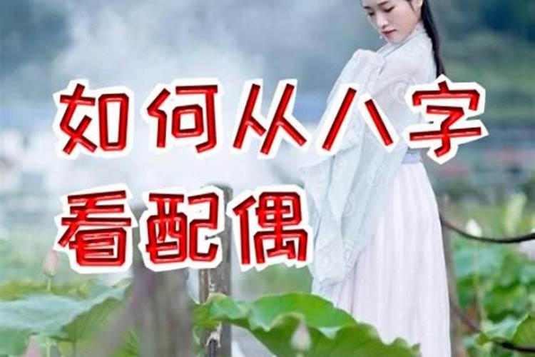 属羊和什么生肖最配婚姻相配