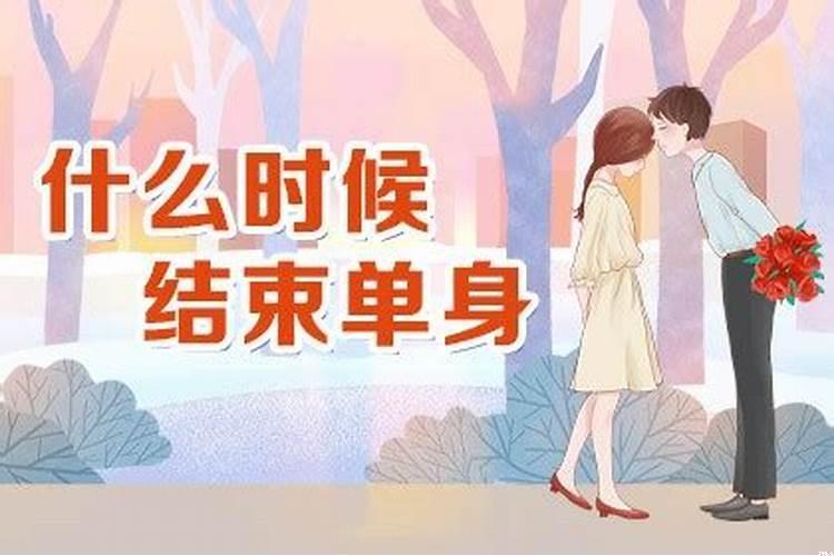 属羊的和属猪的合不合婚姻