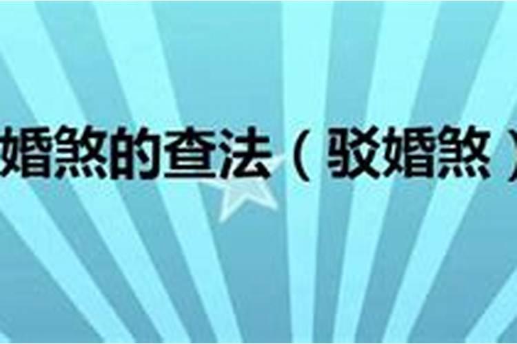 属蛇男人最佳妻子婚配是什么