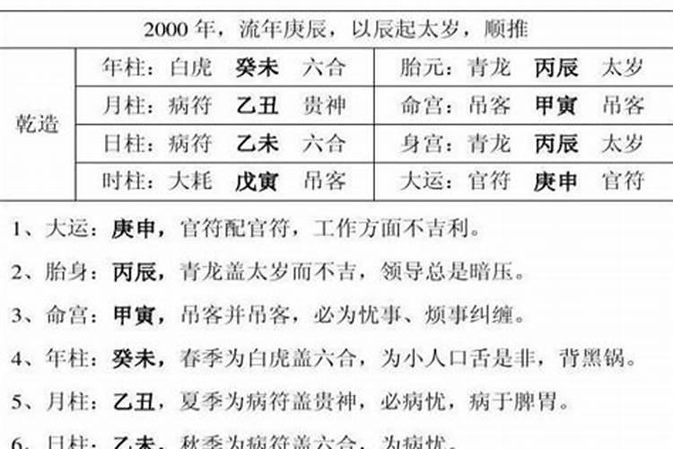 属兔的2022年