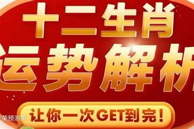 1月29日生肖运势 属龙人在2023年的运势运程