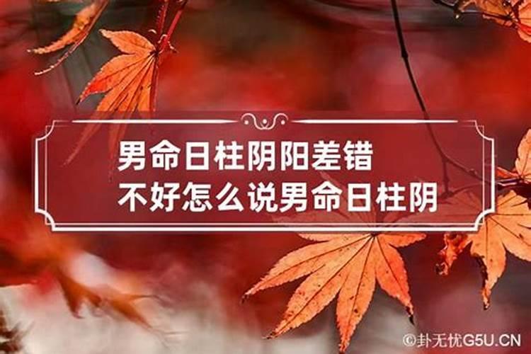 犯太岁的属相应该做什么生意好