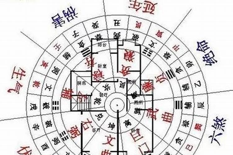 如何看八字月令