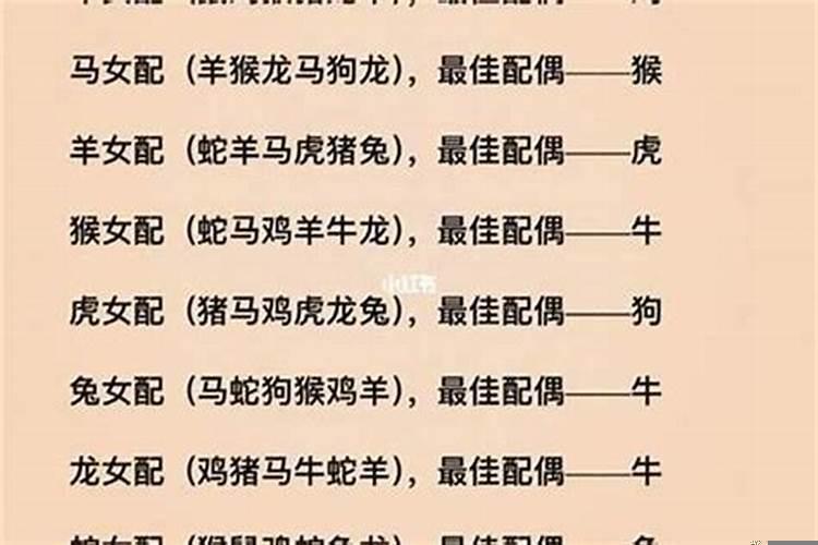 62年什么生肖属相配对