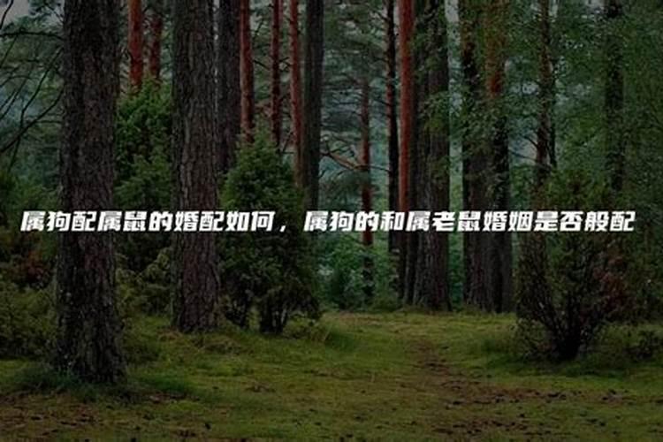 自己的运气不好可以去参加别人的满月酒吗