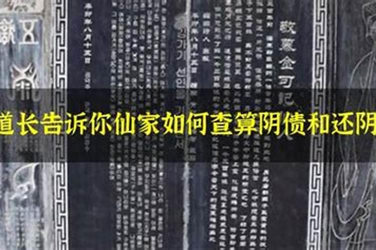 87年的属相是属什么颜色