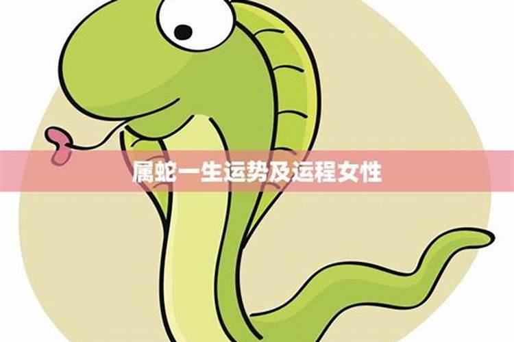 生肖蛇一生的财运状况怎么样？女人走辛未大运好不好呢