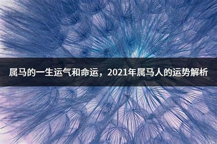 属马的2021年的吉凶