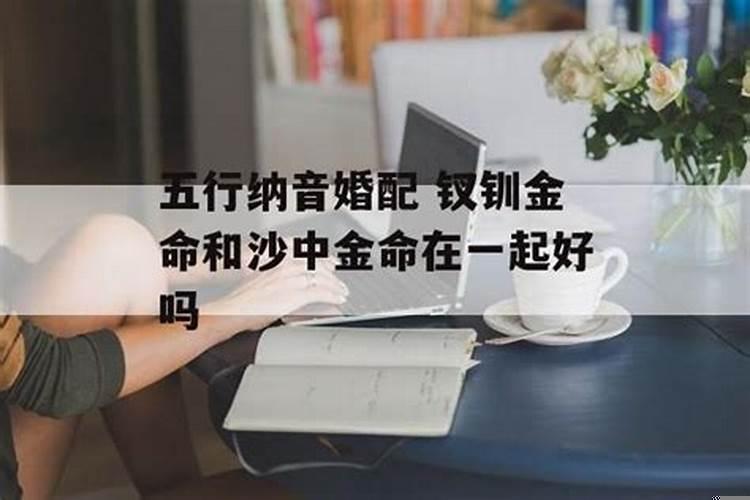 沙中金和沙中金合婚吗