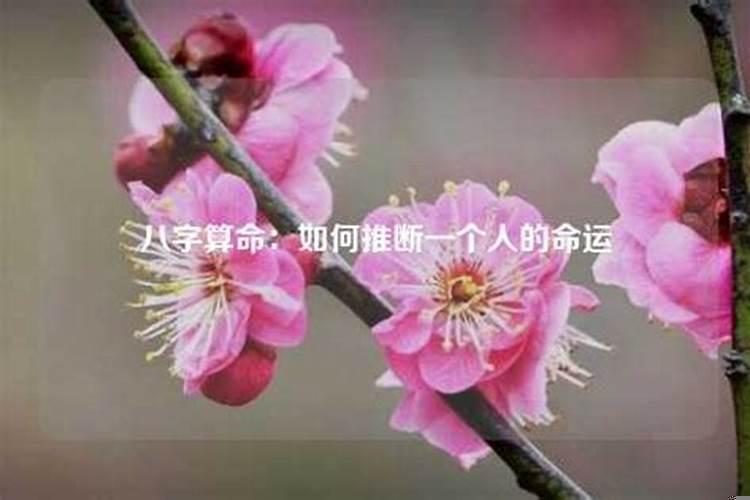 一个人的生辰八字有什么秘密嘛