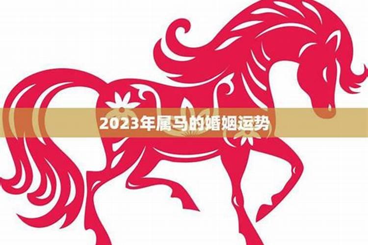 2023年属马的今年适合结婚吗