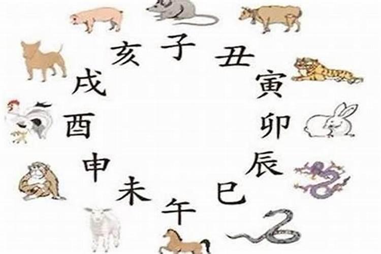 生辰属蛇和属猪的八字合吗