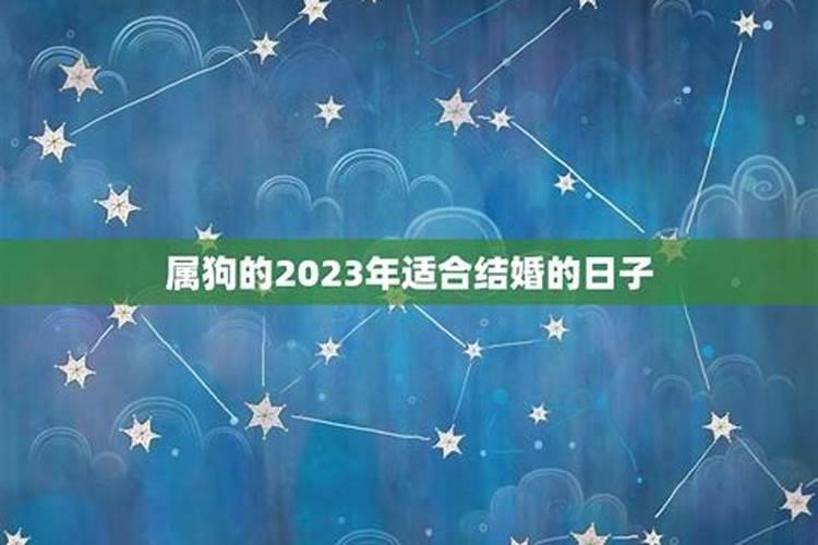 属狗的2023年适合结婚的日子有哪些