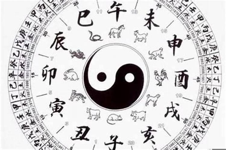 八字纯阳的人概率一年多少