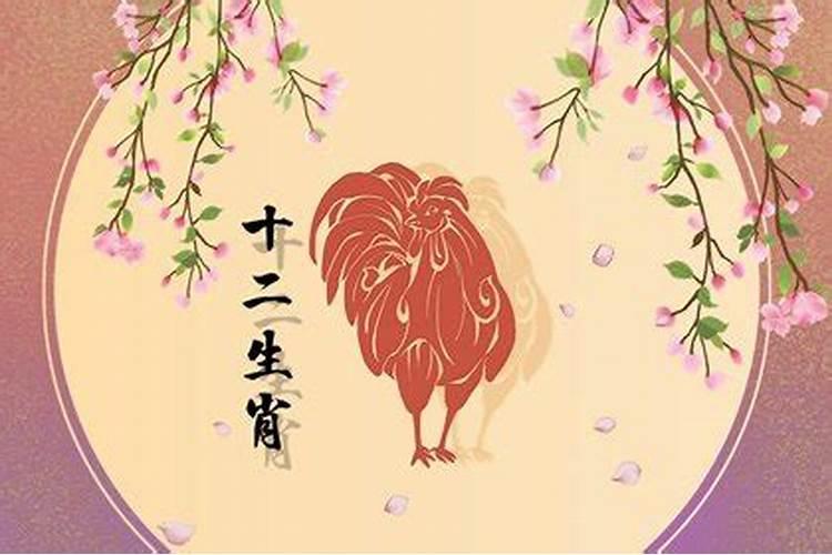 属鸡今年运气好吗