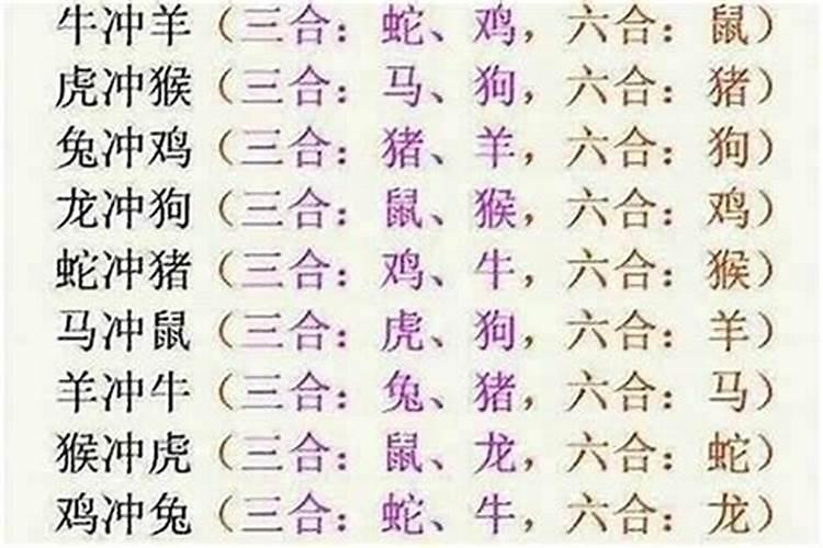 八字好合是什么生肖