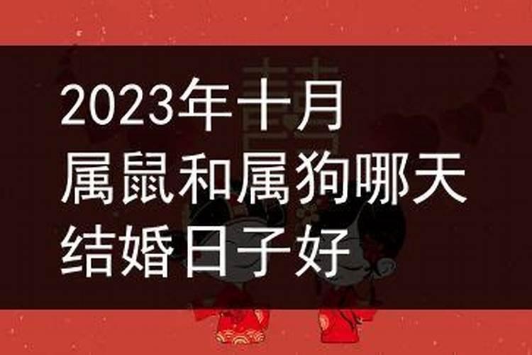 男女属鼠2023年哪天结婚好