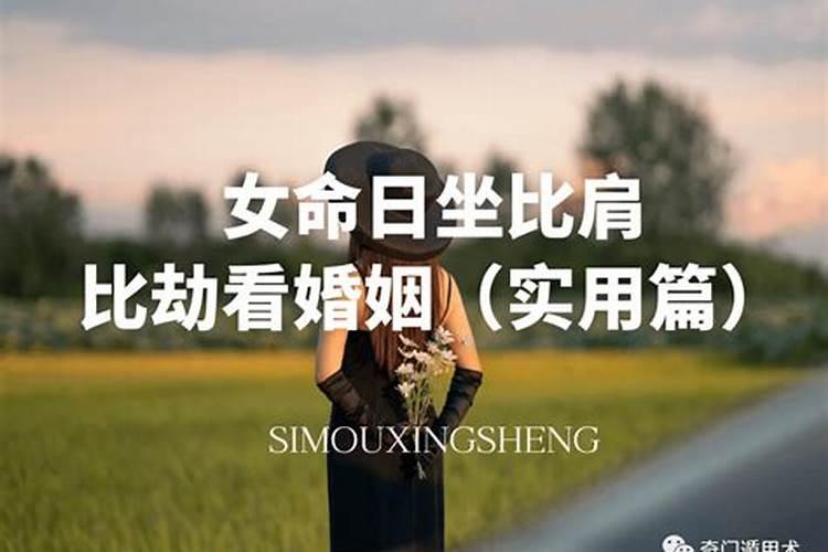 属马的配什么属性