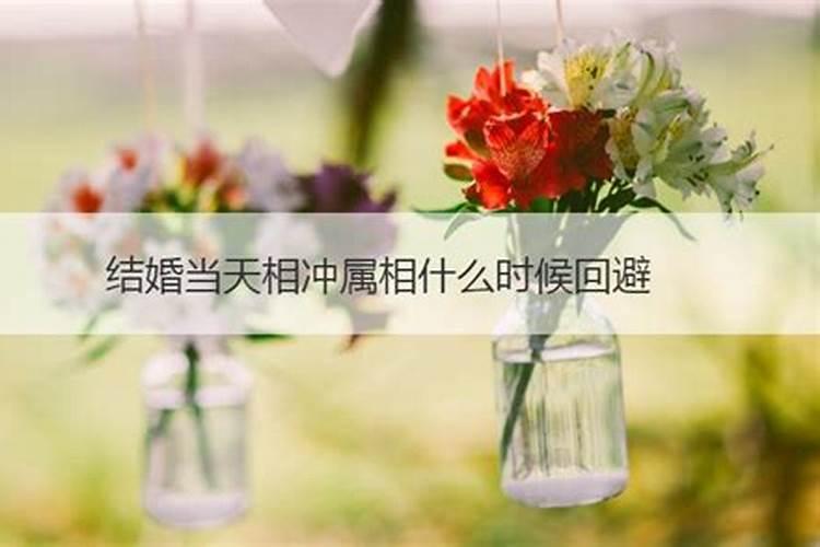 两个人结婚属相相冲能结婚吗