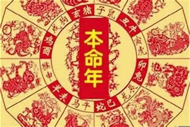 属猴的今年多大年龄2021