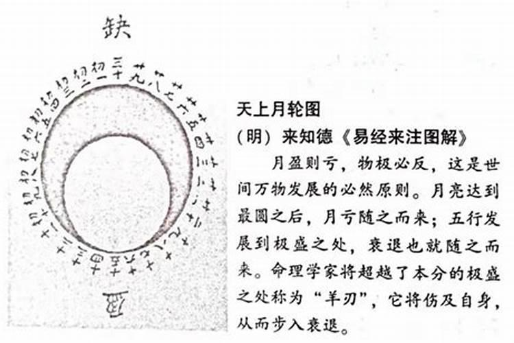 属虎本命年财运怎么样女生婚姻好不好