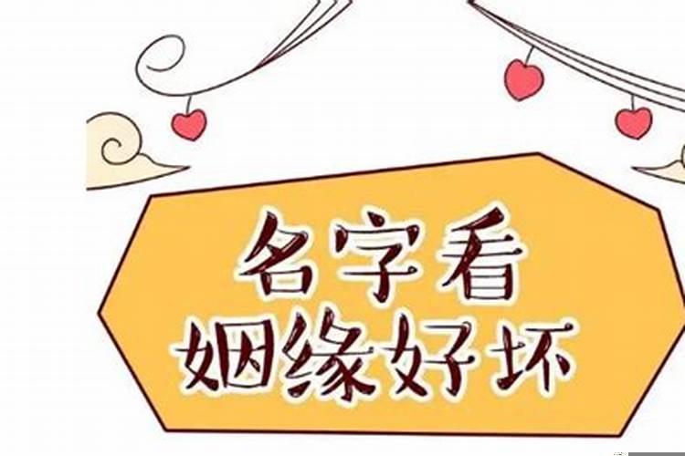 属兔的和属什么的结婚最合适女生