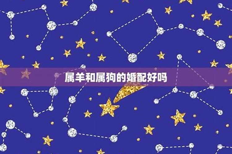 属牛的今年犯太岁吗2021八月出生