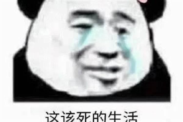 我什么时候可以发财呀