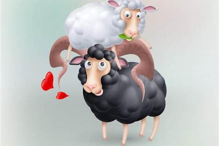 属羊的女人为什么婚姻不顺