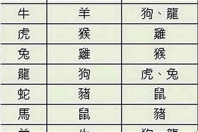 属牛和属兔的合不合