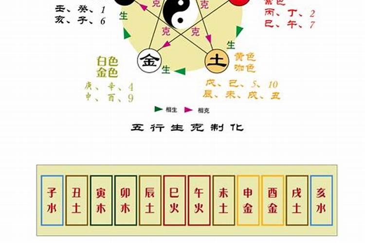 八字五行合是什么意思