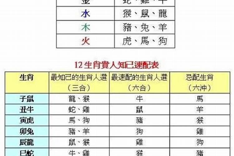 属相婚配金命和金命相克吗