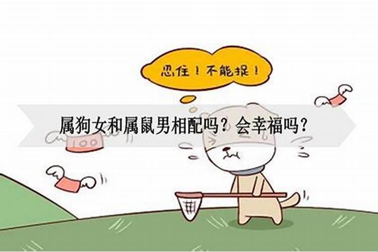 本命年容易不顺吗属虎人运势