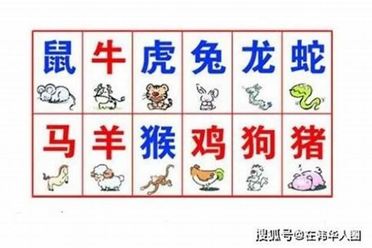 猪和老虎的八字合不合