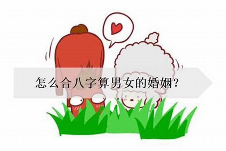 男蛇跟女蛇结婚属相合不合婚