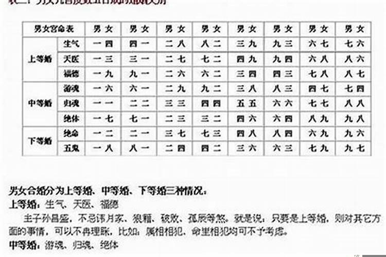 哪些属相婚配幸福