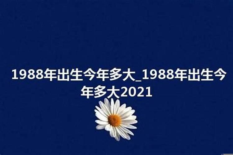 1988年一月多大