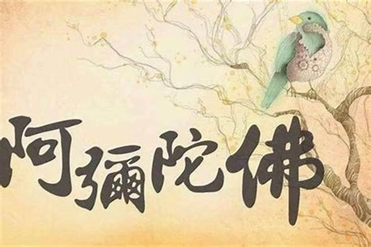 风水怎样对付小人绝招