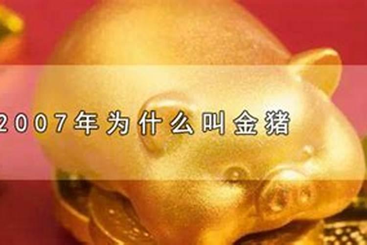 2019年为什么叫金猪年