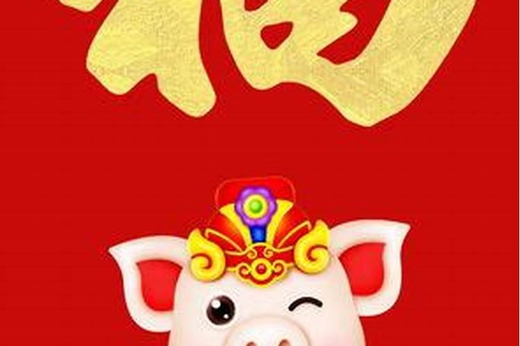 2019年为什么叫金猪年