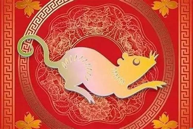 属猪属虎今年犯太岁